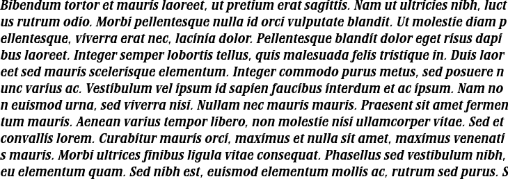 `Stirling RR Bold Italic` Preview
