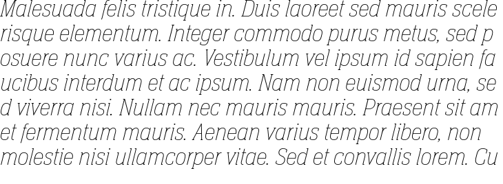 `Neue Aachen Pro Ultra Light Italic` Preview