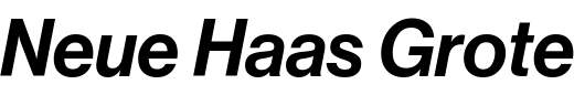 `Neue Haas Grotesk Display Pro Medium Italic` Preview