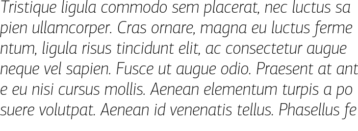 `PF Agora Sans Pro Thin Italic` Preview