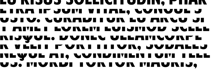 `American Purpose STRIPE 1 Bold Italic` Preview