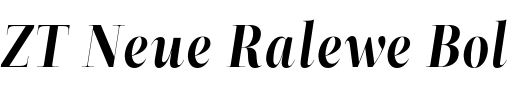 `ZT Neue Ralewe Bold Italic` Preview