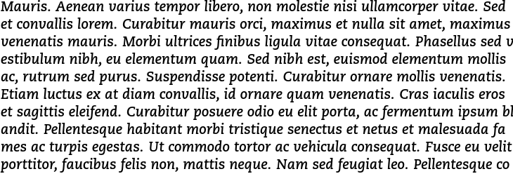 `Caecilia LT Std Bold Italic` Preview