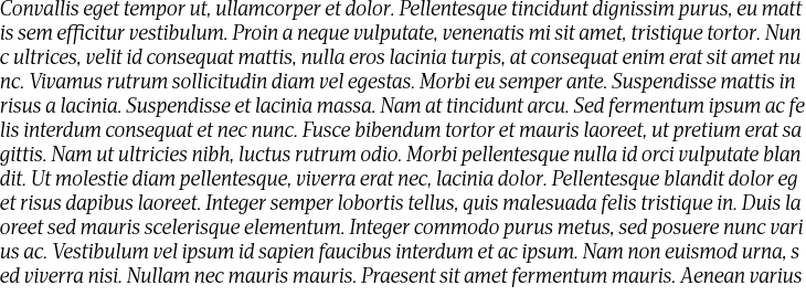 `Apud Roman Italic` Preview