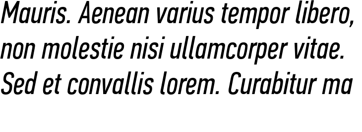 `PF Din Text Pro Italic Compressed` Preview
