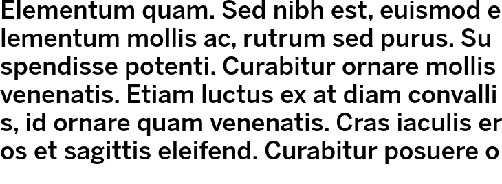 `Bergman Sans Regular` Preview