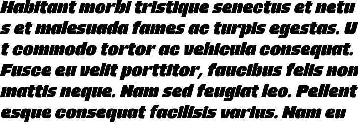`Rogy Black Italic` Preview