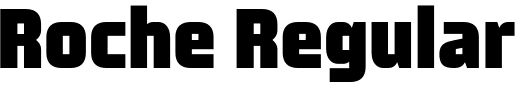 `Roche Regular` Preview