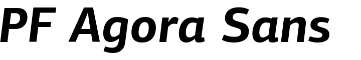 `PF Agora Sans Pro Bold Italic` Preview