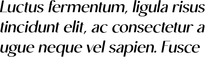 `Moneta Sans Oblique Bold` Preview