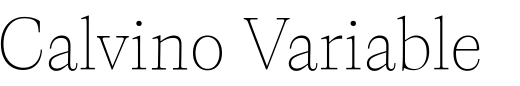 `Calvino Variable Regular` Preview