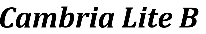 `Cambria Lite Bold Italic` Preview