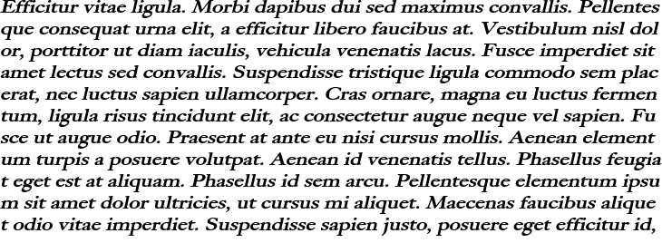 `Bliss Wide Bold Italic` Preview