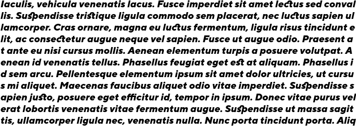 `TT Norms Extra Bold Italic` Preview