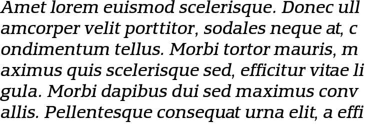 `Equestrienne Book Italic` Preview