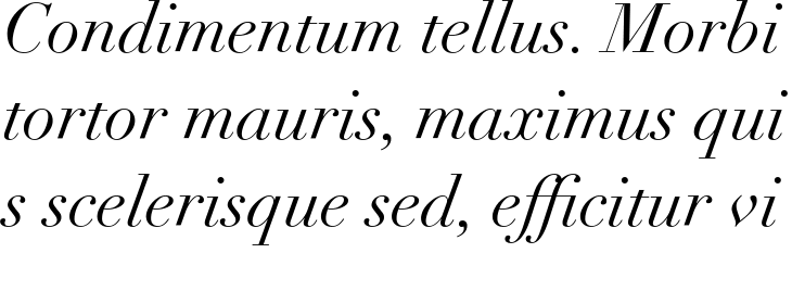 `Didot LT Pro Italic` Preview