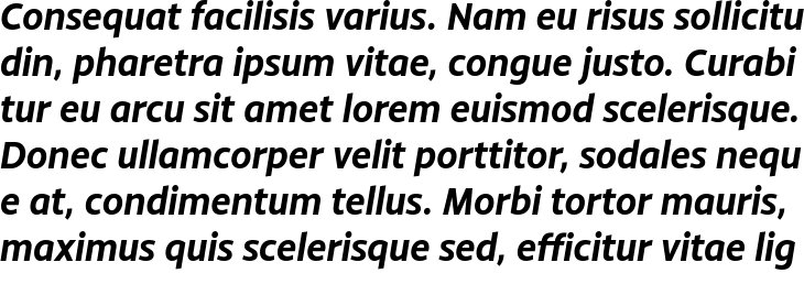 `Monsal Gothic Bold Italic` Preview