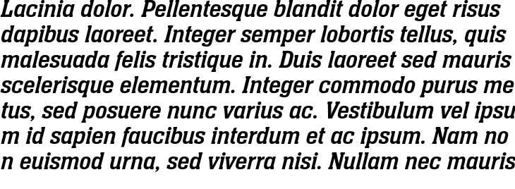 `Neue Aachen Pro Italic` Preview