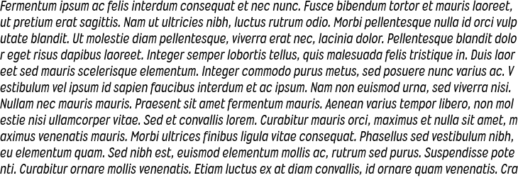 `Wyvern Rg Italic` Preview