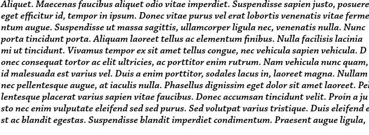`Chaparral Pro SemiBold Italic` Preview