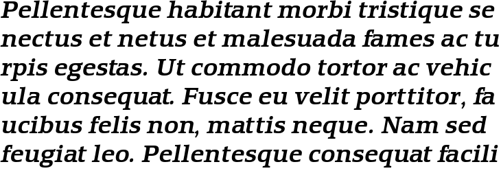 `Equestrienne Medium Italic` Preview