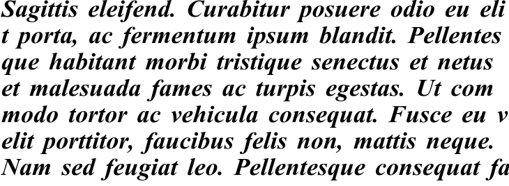 `A1 Lat Bold Italic` Preview