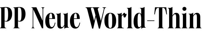 `PP Neue World Condensed Regular` Preview