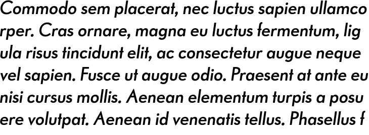 `Paneuropa Retro Soft DemiBold Italic` Preview