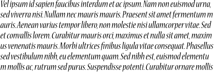 `Nueva Std Condensed Italic` Preview