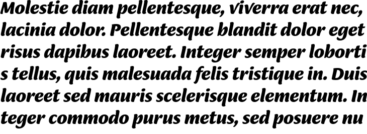`Ciabatta Bold Italic` Preview