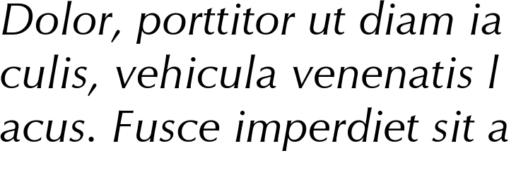 `CG Omega Italic` Preview