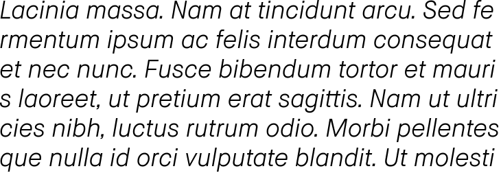 `BB Text Light Italic` Preview