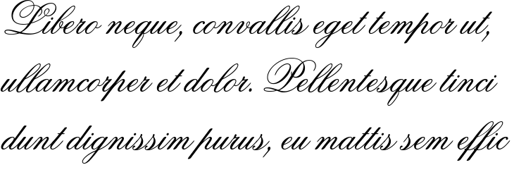 `Flemish Script BT Regular` Preview